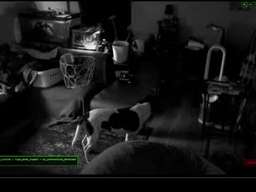 6vyr_Vlt9 Chaturbate stream image from December 17, 2025