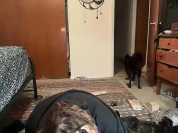 Maroon_Moon Chaturbate stream image from December 21, 2025