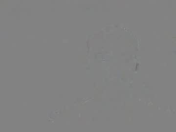 Mikepiper09 Chaturbate stream image from December 24, 2025