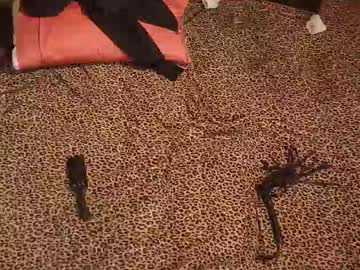 Drdrea69 Chaturbate stream image from December 30, 2025