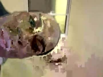 Frank1997040601 Chaturbate stream image from December 31, 2025