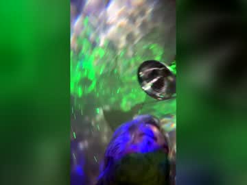 Trans_Fun_Girlie305 stream image from January 03, 2026