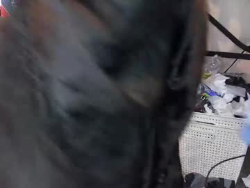 Bigddide1234 Chaturbate stream image from January 03, 2026