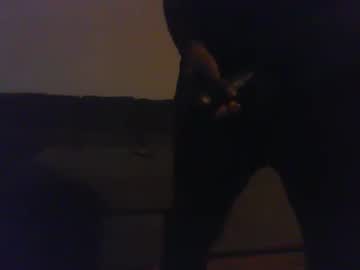 Blongd2 Chaturbate stream image from January 04, 2026