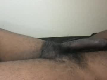 Rockrock305 Chaturbate stream image from January 05, 2026
