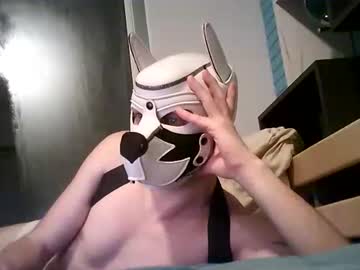 Shirogane2004 Chaturbate stream image from January 07, 2026