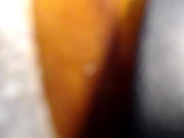 Fckyariangel Chaturbate stream image from January 10, 2026