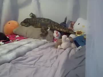 Laylakutiex Chaturbate stream image from January 13, 2026