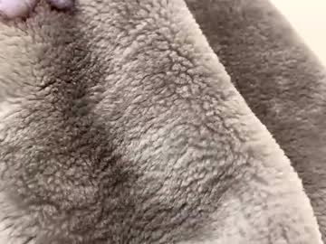 Asslover742827 Chaturbate stream image from January 14, 2026