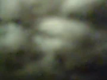 Sexyman1975 Chaturbate stream image from January 17, 2026