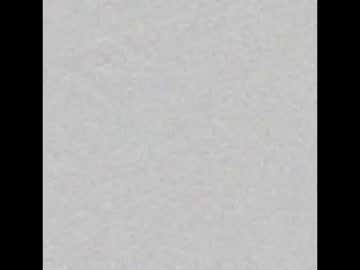 Cockslinger36 Chaturbate stream image from January 17, 2026