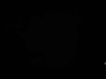 Ryex319 Chaturbate stream image from January 18, 2026