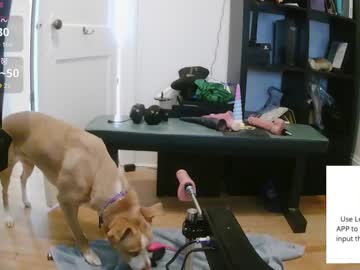 Smokeylosy Chaturbate stream image from January 20, 2026
