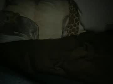Dcsprwls Chaturbate stream image from January 23, 2026