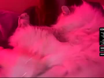 Faewildz Chaturbate stream image from January 23, 2026