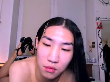 Asiancvnt Chaturbate stream image from January 23, 2026