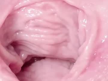 Orchidekitty Chaturbate stream image from January 23, 2026