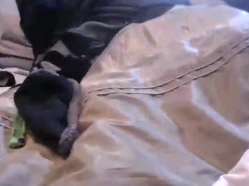 Justinjodysarah957251 Chaturbate stream image from January 27, 2026