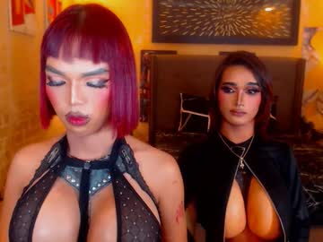 Prettyhorsecocktrans Chaturbate stream image from January 27, 2026