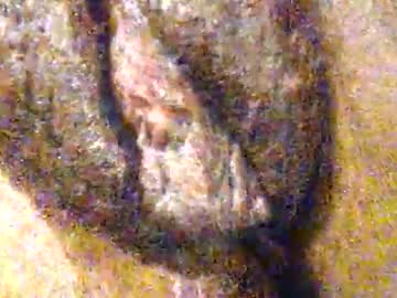 Annybecca Chaturbate stream image from January 28, 2026