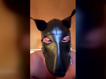Playdog123 Chaturbate stream image from January 28, 2026