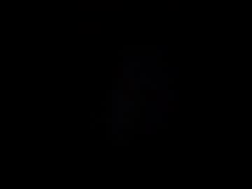 Emilyfox5 Chaturbate stream image from January 29, 2026