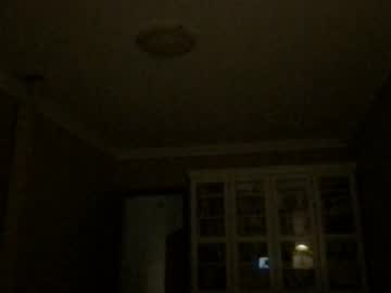 Greggdorsey Chaturbate stream image from January 29, 2026