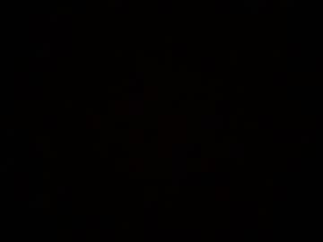 Darchive Chaturbate stream image from January 29, 2026