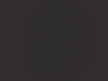 Frankowicz Chaturbate stream image from January 31, 2026