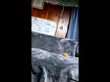 Bainescpl2024 Chaturbate stream image from January 31, 2026