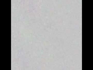 Niko_Lynn Chaturbate stream image from February 02, 2026