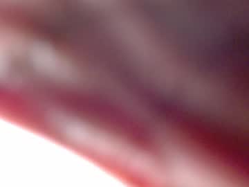 Africas_Booty842808 Chaturbate stream image from February 02, 2026