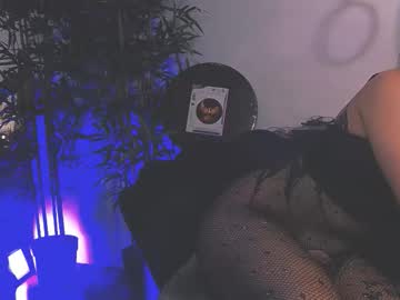 Bellatayllor Chaturbate stream image from February 03, 2026