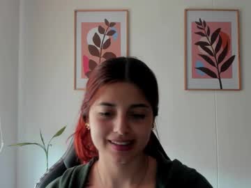 Shylittlebunny Chaturbate stream image from February 03, 2026