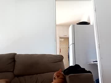Knimbyunqdds Chaturbate stream image from February 03, 2026