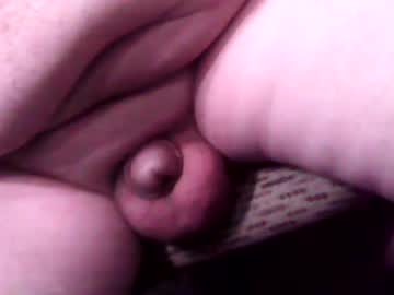 Tinywienner1 Chaturbate stream image from February 04, 2026