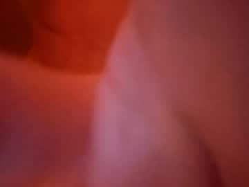 Chaosmisfit stream image from February 05, 2026
