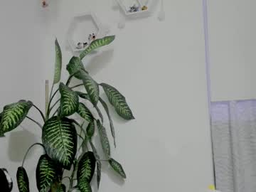 Saray2312 Chaturbate stream image from February 05, 2026