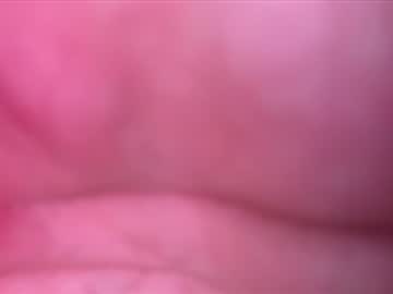 Surf98765 Chaturbate stream image from February 06, 2026