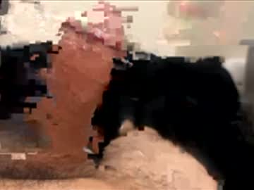 Cum4u408 Chaturbate stream image from February 09, 2026