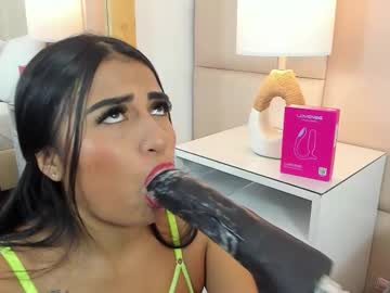 Antoniaross Chaturbate stream image from February 09, 2026