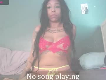 Stella_Clitella Chaturbate stream image from February 12, 2026