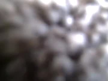 Freakyspun101 Chaturbate stream image from February 12, 2026