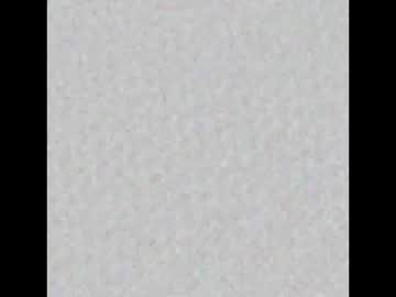 Blackroszee Chaturbate stream image from February 12, 2026