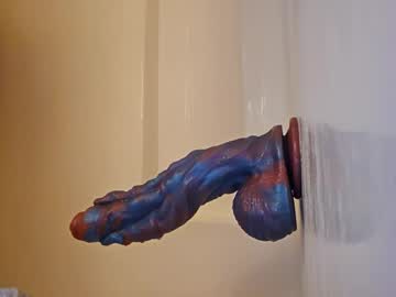 Wildbottomtoy Chaturbate stream image from February 13, 2026