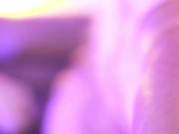 Students_Porn Chaturbate stream image from February 13, 2026