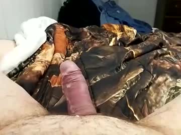 Shyguy4579 Chaturbate stream image from February 14, 2026