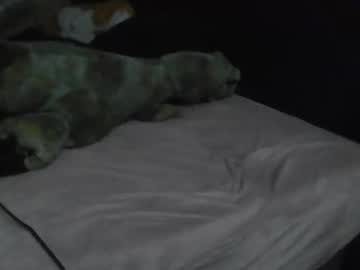 Uzithebbc Chaturbate stream image from February 16, 2026