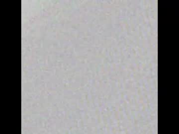 Snakeguy08 Chaturbate stream image from February 18, 2026