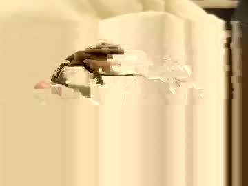 Teluguboy28 Chaturbate stream image from February 18, 2026